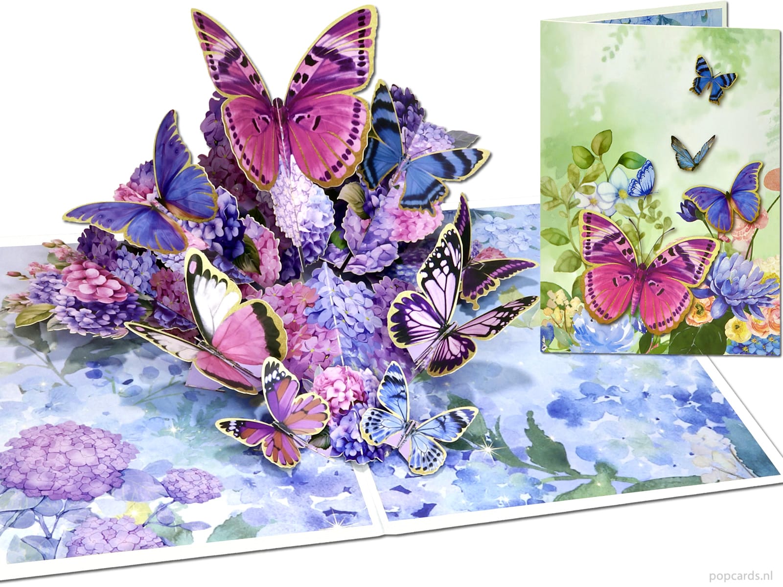 Tarjeta de felicitación desplegable con mariposas