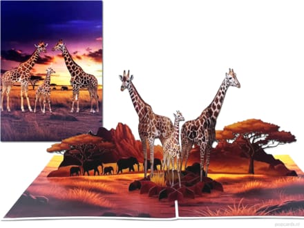Popcards.nl pop-up kaart – giraf giraffen giraffe Afrika savanne popupkaart 3D wenskaart