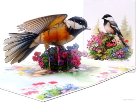 Popcards.nl pop-up kaart – zwartkopmees Chickadee Amerikaanse Mees Matkop Sierlijke vogel siervogel mees bloemen popupkaart 3D wenskaart