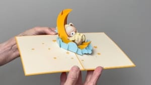 Video Halbmond kleines Bärchen